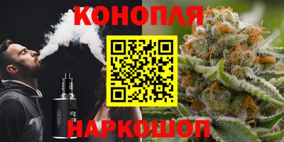 гашик Будённовск