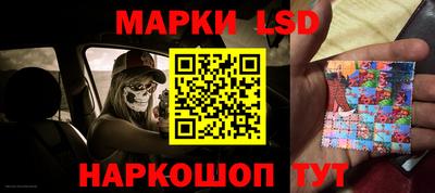 шишки Бузулук