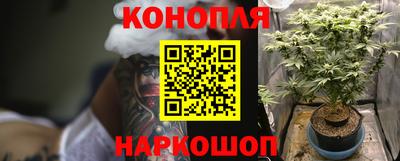 шишки Бузулук