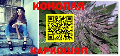 гашик Будённовск