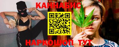 гашик Будённовск
